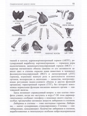 Молекулярная симфония, или Волшебный оркестр жизни